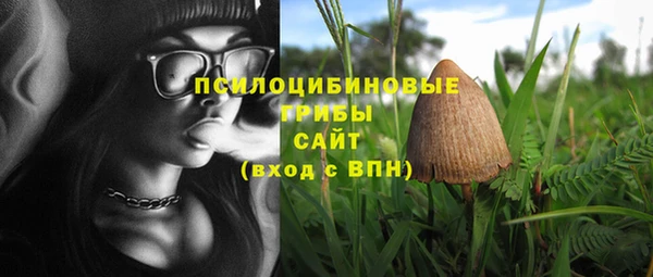 альфа пвп Новокубанск