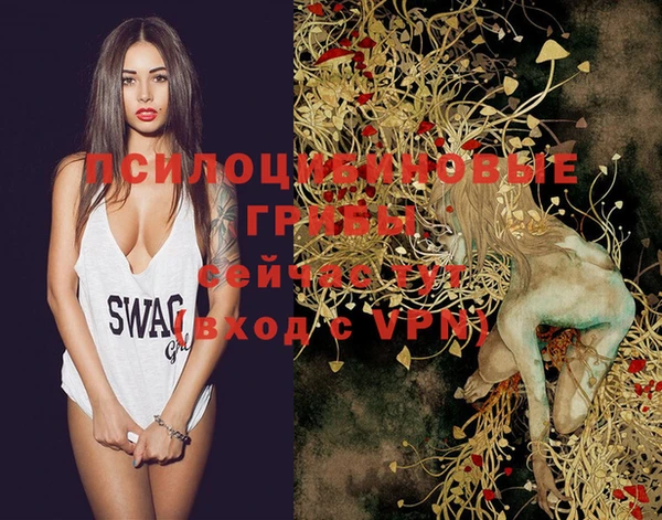 кокс Новодвинск