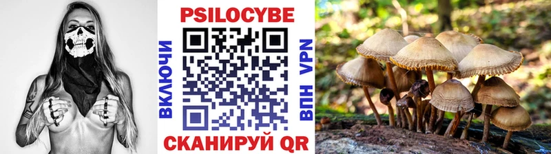 купить закладку  Похвистнево  Галлюциногенные грибы Psilocybe 