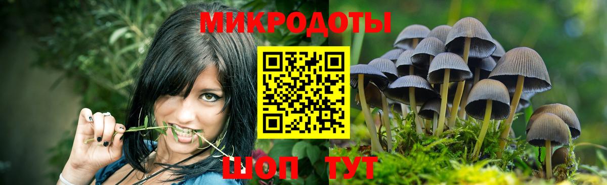Похвистнево  Псилоцибиновые грибы GOLDEN TEACHER  Вход с VPN 